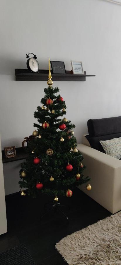 בראשוב Avangarden Apartment מראה חיצוני תמונה